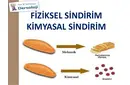 Fiziksel Sindirim Nasıl Gerçekleşir? Fiziksel Sindirim Nasıl Gerçekleşir?